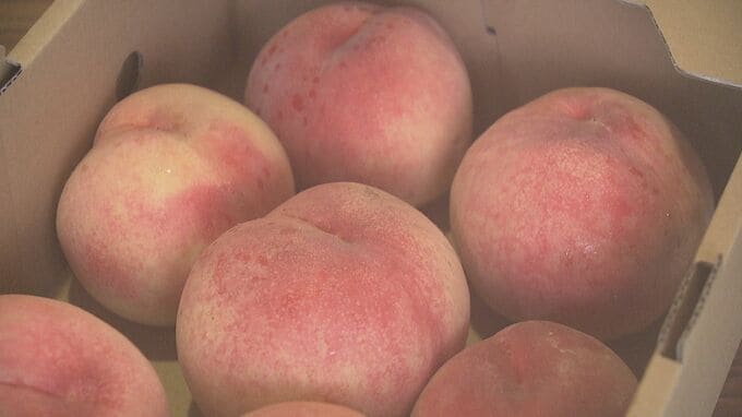 飯坂温泉で「日本一の桃まつり」あかつき2キロ1000円で販売　福島|TBS NEWS DIG