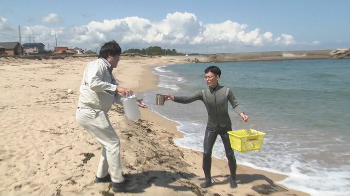 まずは「ハワイ海水浴場」から…海水浴シーズンを前に水質調査　鳥取県|TBS NEWS DIG