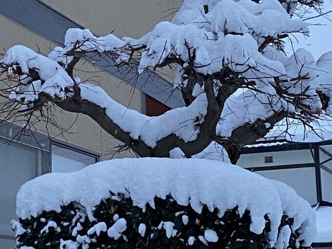 大雪の今後は　高気圧接近で次第に冬型緩むも　きょうは大雪に警戒を　東北地方50、関東甲信40、北陸40、東海40、近畿30、中国20センチの降雪予報　　|　山形のニュース│TUYテレビユー山形