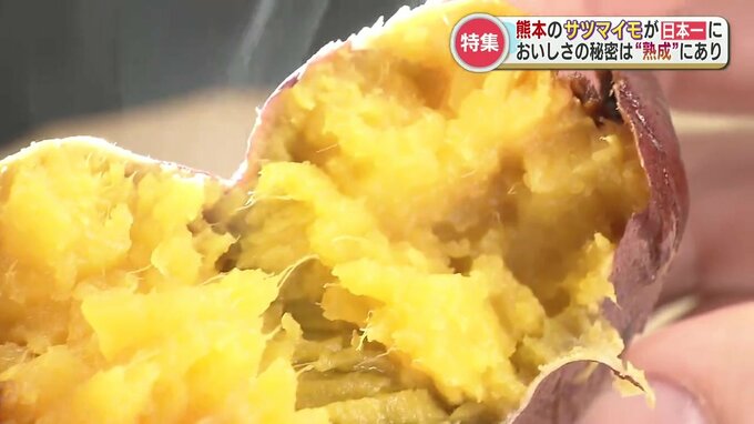 日本一のサツマイモが熊本に！美味しさの秘密は「収穫後の熟成」農家おすすめの食べ方も紹介　|　熊本のニュース｜RKK NEWS｜RKK熊本放送