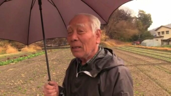 「全部燃えた」今治山林火災で鎮圧宣言も、未だ“鎮火”には至らず ボランティア活動は雨で中止 愛媛県今治市　|　愛媛のニュース - Nスタえひめ｜あいテレビは6チャンネル