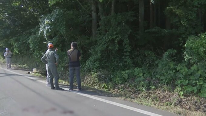 「人がクマともみ合っている」　74歳男性が市道上で襲われ顔に深刻なけが　秋田市|TBS NEWS DIG