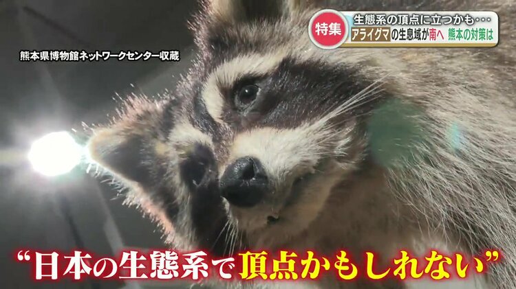 img_c11b6a29e72ce81d5aa6424307