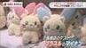 「ポケピース」期間限定ショップが長崎市にオープン　約300種類のグッズ　限定キャラクターも　|　長崎のニュース | 天気 | NBC長崎放送