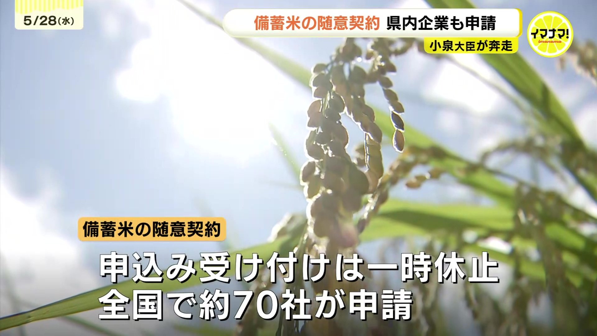 ※断捨離中 即購入大歓迎様 できるだけ早く消費者に」県内企業も続々申請 小泉大臣が奔走 備蓄米