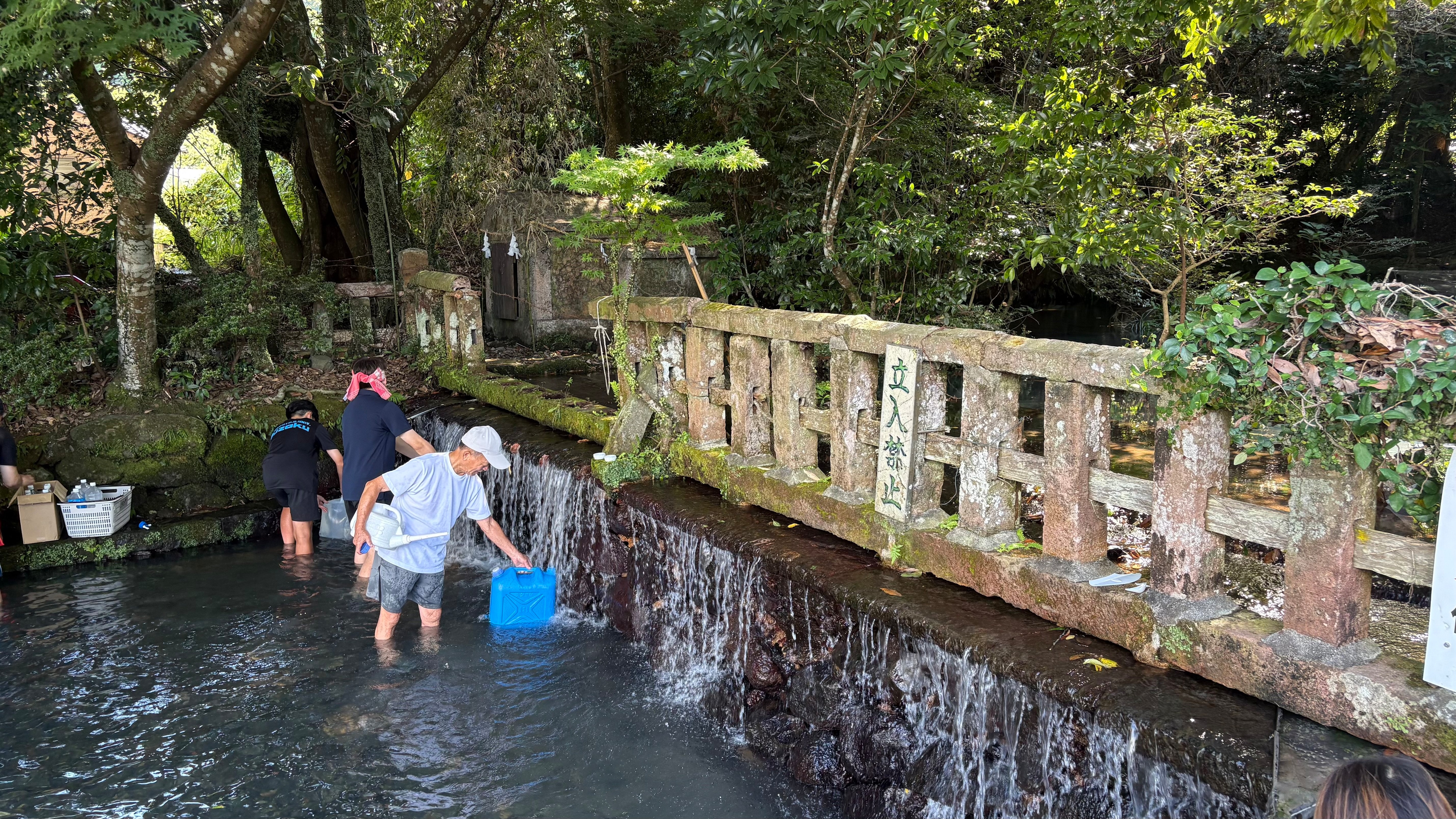 宇土市の轟水源「だいぶ水が澄んできた」 猛暑の中で子ども達の水