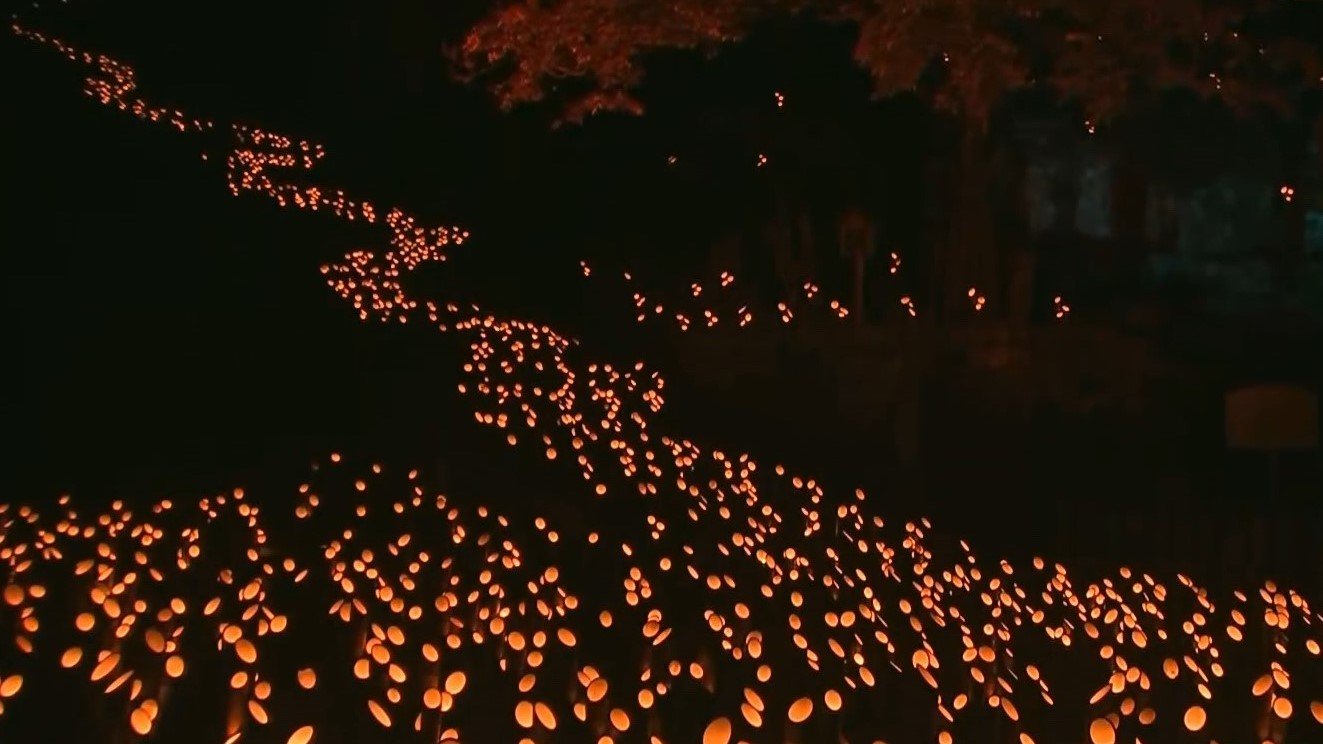 竹楽」 2万本の竹灯籠のあかり 城下町竹田をやさしくつつむ | 大分の