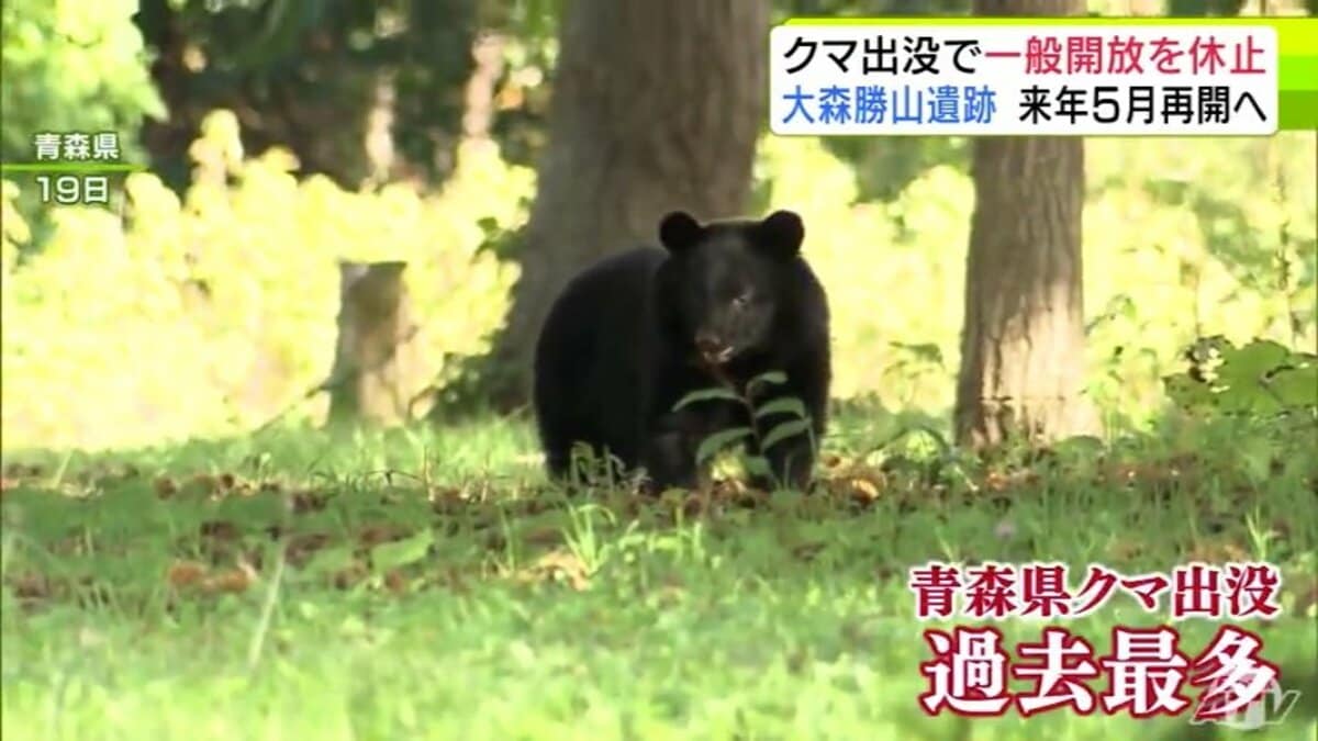 クマ出没で今年度の一般開放を取り止めに… 世界文化遺産を構成する