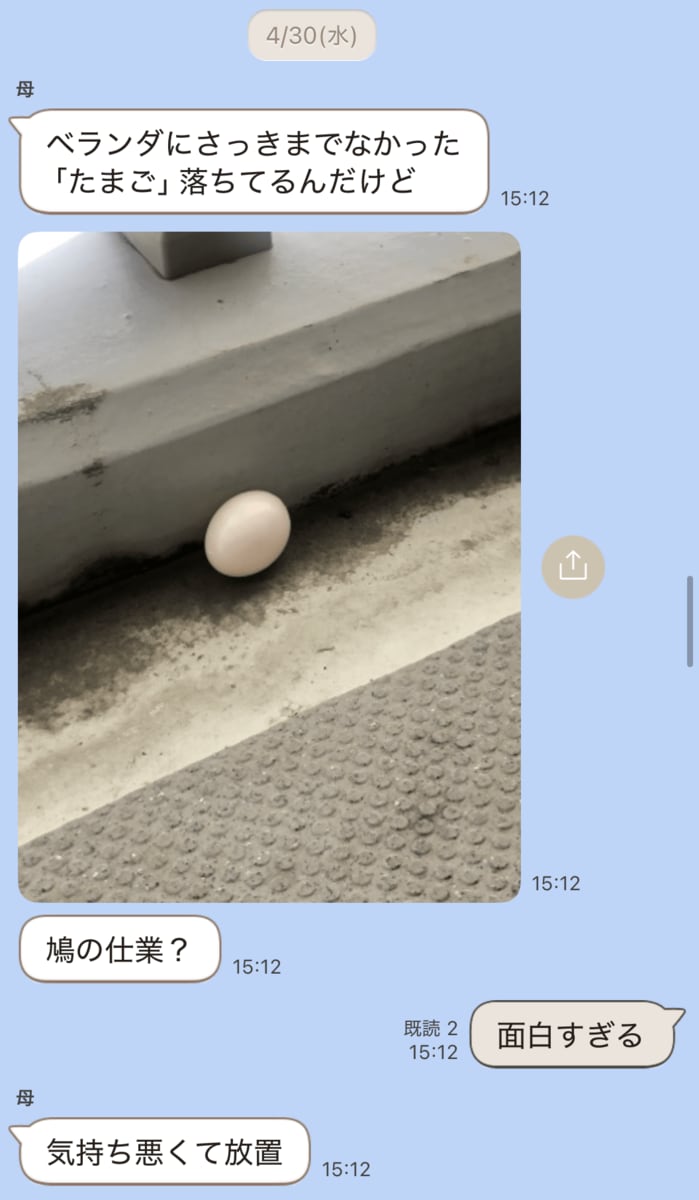 ベランダで見つけた「ハトの卵」勝手に捨てたら法律違反！？ 市役所に