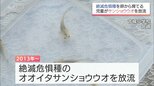 宮崎市の小学校で絶滅危惧種「オオイタサンショウウオ」を放流　児童たちが卵から育てる|TBS NEWS DIG