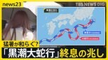 今年は猛暑が和らぐ？7年以上続いた「黒潮大蛇行」終息の兆し　消えたシラス不漁も解消か　専門家が解説【news23】|TBS NEWS DIG