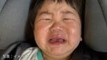 高速道路を走行中に子どもが「ぐずる」「大泣き」で運転が危ない...対処法を幼児教育の専門家が提案「ポジティブ大作戦」とは？|TBS NEWS DIG