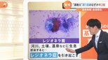 「最悪、死に至る」どこにでもいる菌で感染?レジオネラ症とは|TBS NEWS DIG