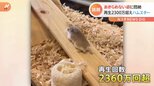 「逆すべり台」登りたくても滑っちゃうハムスターに国内外が悶絶!|TBS NEWS DIG