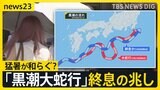 今年は猛暑が和らぐ?7年以上続いた「黒潮大蛇行」終息の兆し 消えたシラス不漁も解消か 専門家が解説【news23】|TBS NEWS DIG