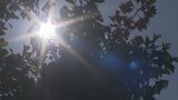 甲府と勝沼で38.5℃ 各地で猛暑日 20代から80代の男女6人が熱中症か 山梨 | 山梨のニュース | UTYテレビ山梨