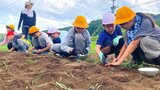 全校児童21人が秋咲きのヒマワリの種まき 9月末のフェスタに向けて 大分・臼杵市 | 大分のニュース|OBS NEWS|大分放送
