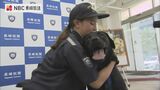「仕事は真面目で丁寧」捜査以外は甘えん坊な新麻薬探知犬の就役式【長崎】 | 長崎のニュース | 天気 | NBC長崎放送