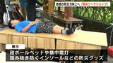 地域の防災力を向上させるため町内会と地元企業が「防災ワークショップ」を開催【高知】 | 高知のニュース・天気|KUTV NEWS | KUTVテレビ高知