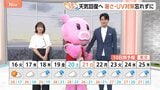 【6月16日 関東の天気】天気回復へ 暑さ・UV対策忘れずに|TBS NEWS DIG