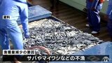 青森県の2022年漁獲量が過去最少　サバやマイワシが不漁　|　青森のニュース│ATV NEWS│青森テレビ