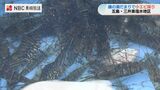 潮だまりに取り残された小エビをスケアンで…五島の古代漁法 | 長崎のニュース | 天気 | NBC長崎放送
