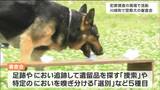 「鼻の捜査官で初動捜査に欠かせない」嘱託警察犬を選ぶ審査会“普段は一般家庭などで訓練”宮城・川崎町　|　宮城のニュース│tbc NEWS│tbc東北放送