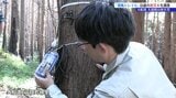 「みちのく潮風トレイル」沿道で被災した木々の調査開始　大船渡・大規模山林火災を受け計測機器を設置　岩手|TBS NEWS DIG
