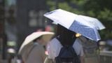 気象庁「東北地方が梅雨明けしたとみられる」と発表 東北北部は平年より7日遅い梅雨明け 岩手|TBS NEWS DIG