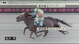 2組の競走馬が1着と4着で「同着」44年ぶり金沢競馬で“珍事” 賞金は「仲良くシェア」で|TBS NEWS DIG