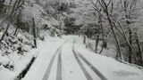 寒気流れ込む 紫尾山では雪 鹿児島 | 鹿児島のニュース|MBC NEWS|南日本放送