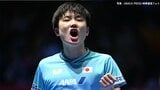張本智和がストレート勝ちでベスト4進出、フランスの強豪を圧倒、大会連覇まであと2つ【WTTチャンピオンズ横浜】|TBS NEWS DIG