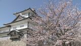 前年比187.7%の448,100人が7日間で… 観桜期の兼六園・金沢城公園入園者が過去最多に　|　石川県のニュース｜MRO北陸放送