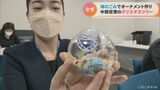 プラスチックごみでクリスマスツリーを装飾 中部空港のスタッフらが手作り【SDGs】 | 名古屋・愛知・岐阜・三重のニュース【CBC news】 | CBC web