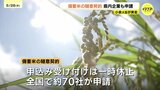 「できるだけ早く消費者に」県内企業も続々申請 小泉大臣が奔走 備蓄米随意契約で イズミもハローズも|TBS NEWS DIG