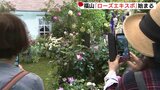 あすから世界バラ会議開幕　関連イベント「ローズエキスポ」始まる　広島・福山市|TBS NEWS DIG