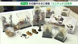 「やっぱりリアルなのが心ひかれる」“おうち時間”増で広まった『ミニチュア』ブーム、静岡でもー3月2日は「ミニチュアの日」|TBS NEWS DIG