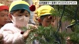 高知市の公共施設で一足早くクリスマスイベント 園児がツリーの飾りつけ 合唱も披露|TBS NEWS DIG