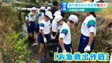 アユやコイ、ドジョウ…用水路で生存確認!『お魚救出大作戦』児童たちが水辺の生き物を学ぶ 新潟・柏崎市|TBS NEWS DIG