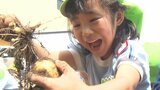 「大きいイモが出てきた!」園児がジャガイモ堀りに挑戦 歓声をあげて収穫を喜ぶ 大分 | 大分のニュース|OBS NEWS|大分放送