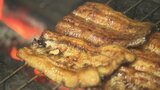 猛暑続く中 夏バテ解消に!土用丑の日 大分市のうなぎ店にぎわう | 大分のニュース|OBS NEWS|大分放送