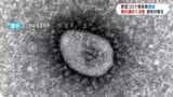 新型コロナ感染者が前週の1.8倍 人の移動増える夏に増加傾向 鹿児島県 | 鹿児島のニュース|MBC NEWS|南日本放送