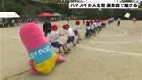 桂浜水族館“ハマスイ”の人気者「おとどちゃん」 地元の小学校の運動会に参加 | 高知のニュース・天気|KUTV NEWS | KUTVテレビ高知