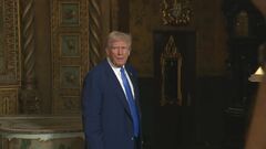 トランプ政権　木材にも追加関税を検討　最大の輸入先カナダへの新たな圧力に| TBS CROSS DIG with Bloomberg