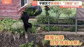 1頭捕獲も2頭目の可能性は?クマ警戒続く宇都宮 捕獲から目撃情報なしも専門家は「同一個体か判断しづらい」 小中学校ではあすから通常登校|TBS NEWS DIG