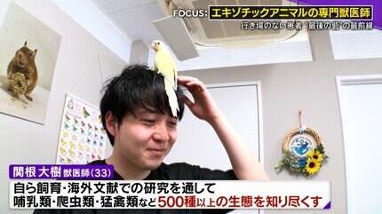 衝撃手術】カメの甲羅を切る…巨大“尿路結石”400gを摘出！「10軒断られ