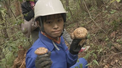 うらやましい…中学生が学校の林で松茸35本収穫、給食に登場予定 山口