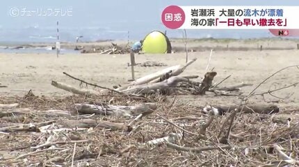 地元の海から取れました少し大きめの流木です！ 地元の海から取れました少し大きめの流木です！