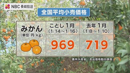 みかん様お見積もり 三代目の頂みかんTHEプレミアム【小玉サイズ】3kg【C31-32