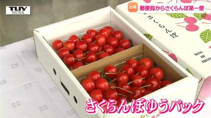 旬の味覚 